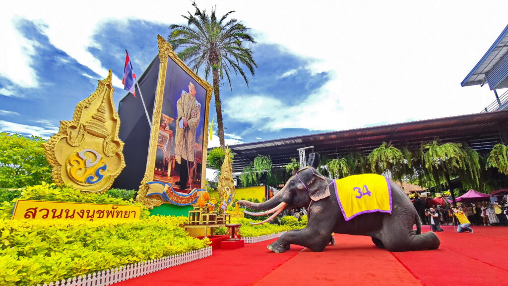 สุดยิ่งใหญ่! สวนนงนุชพัทยา จัดกิจกรรมเฉลิมพระชนมพรรษา 68 พรรษา ราชันแห่งแผ่นดิน