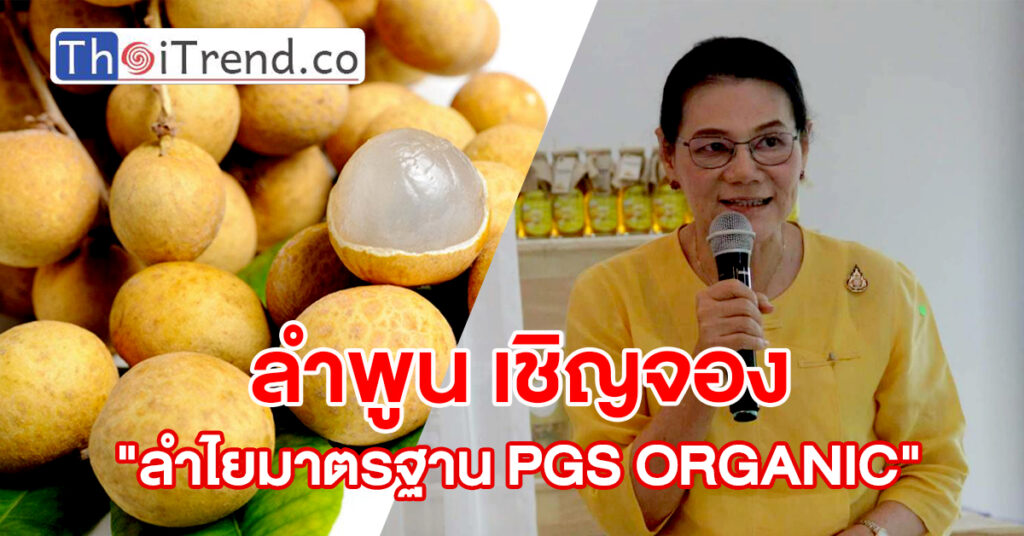 พาณิชย์ลำพูนบูรณาการร่วมกับกลุ่ม PGS เชิญจอง "ลำไยพันธุ์อีดอ มาตรฐาน PGS ORGANIC"