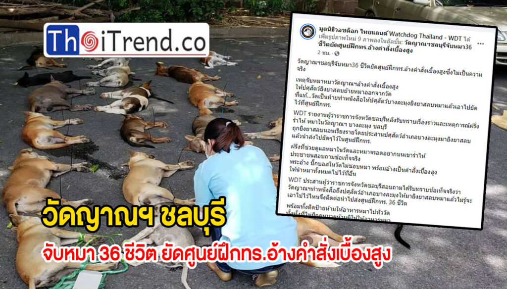 มูลนิธิวอชด็อก ไทยแลนด์