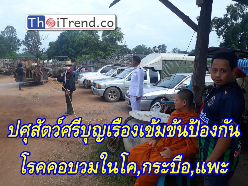 ปศุสัตว์ศรีบุญเรืองเข้มข้นป้องกันโรค