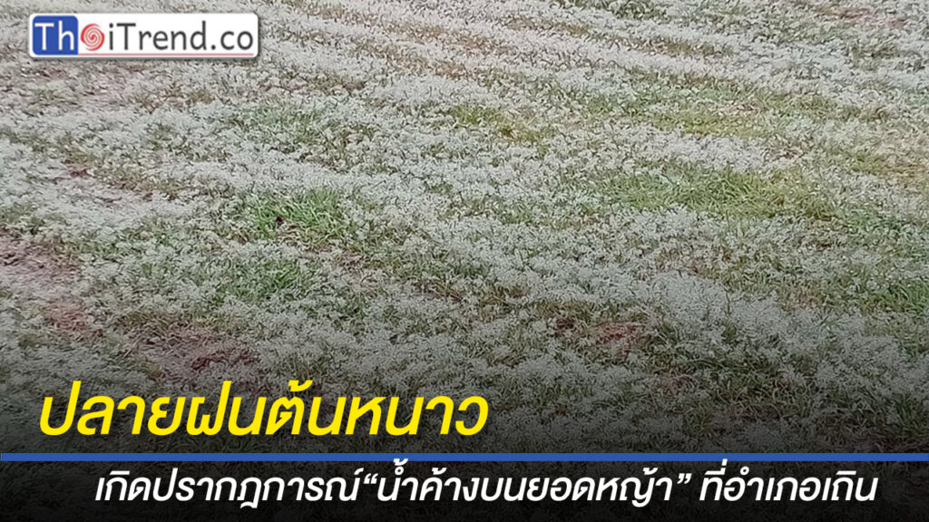 ปลายฝนต้นหนาว