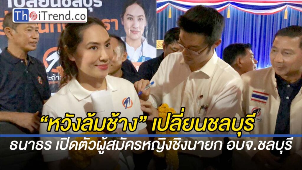 “หวังล้มช้าง”