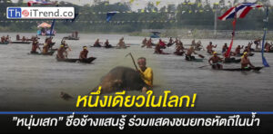 ช้างแสนรู้ ว่ายน้ำชนยุทธหัตถีกับงานแข่งเรือชิงถ้วยพระราชทานยิ่งใหญ่